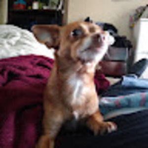 Meet your Posher, Sergio